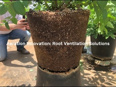 Plastic Plant Pots for Berries Grow